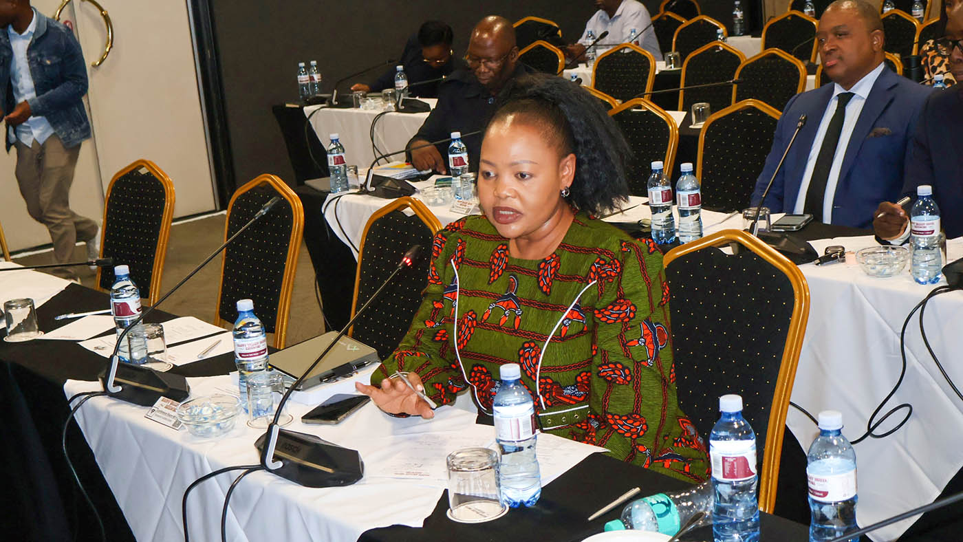 Minister for Foreign Affairs and International Cooperation Pholile Shakantu making her submission.